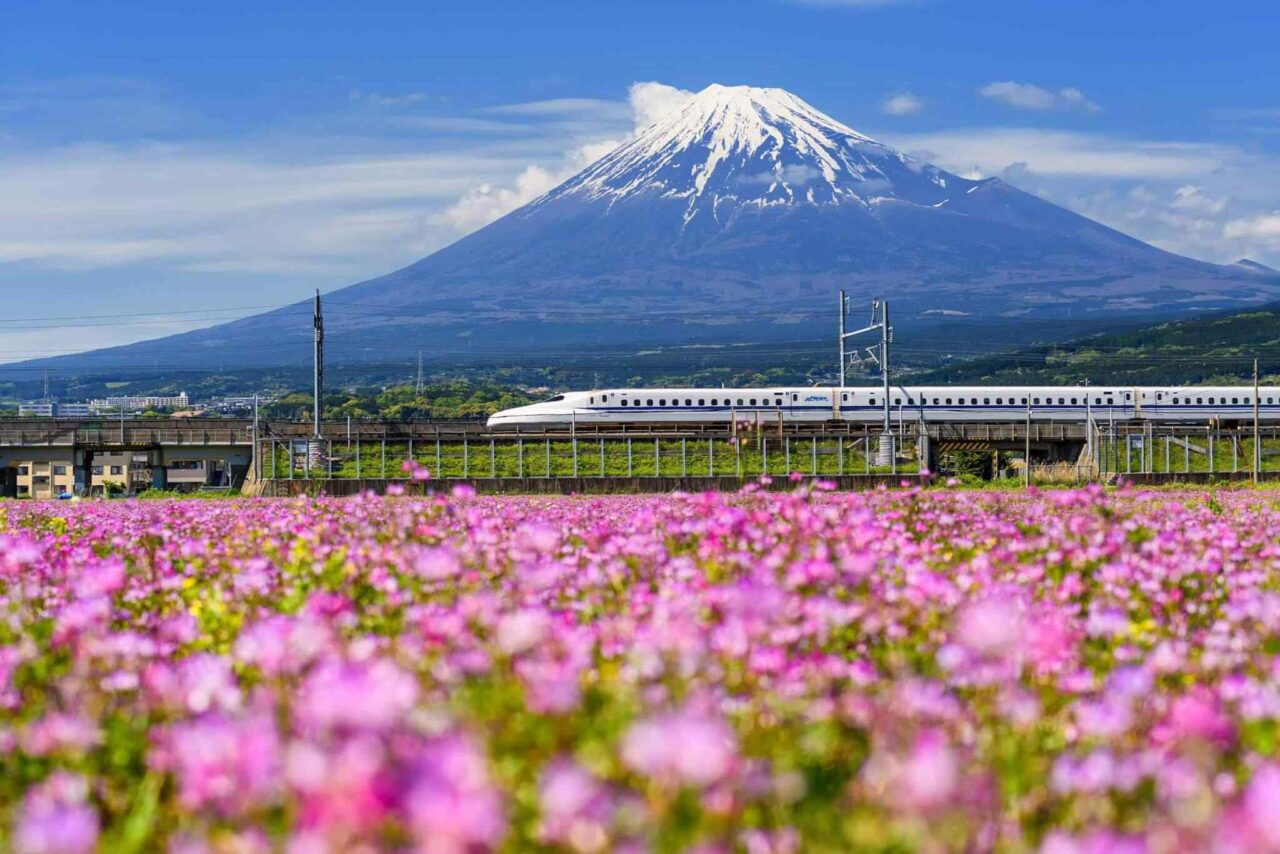 https://travelonica.com/wp-content/uploads/2018/09/tour-osaka-04-2-1280x854.jpg