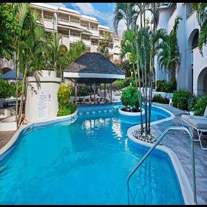 Bougainvillea Barbados