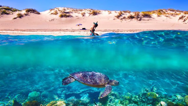 https://travelonica.com/wp-content/uploads/2023/08/Experience-the-natural-wonders-of-the-Ningaloo-Reef-640x360.jpg