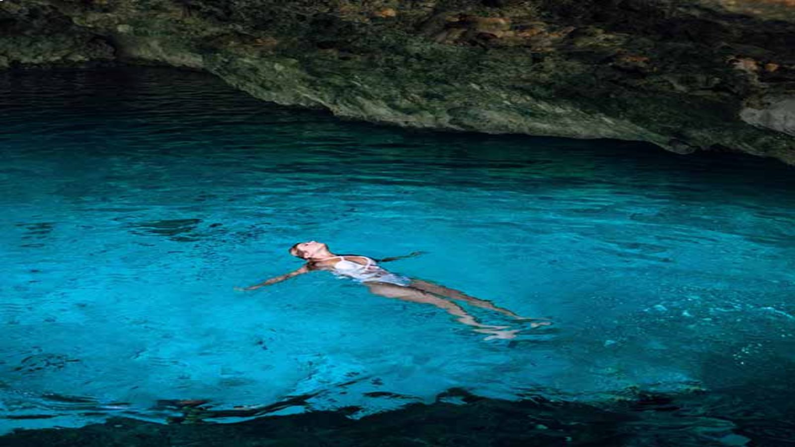 cenote-dolphin-interaction-tour