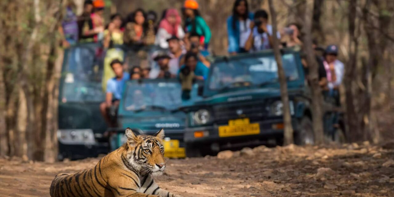 Wildlife Tours In India