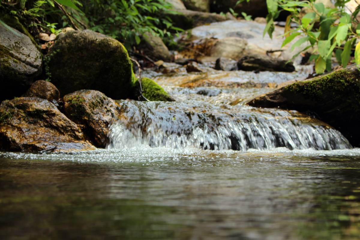 https://travelonica.com/wp-content/uploads/2024/09/Bishnumati_river.jpg