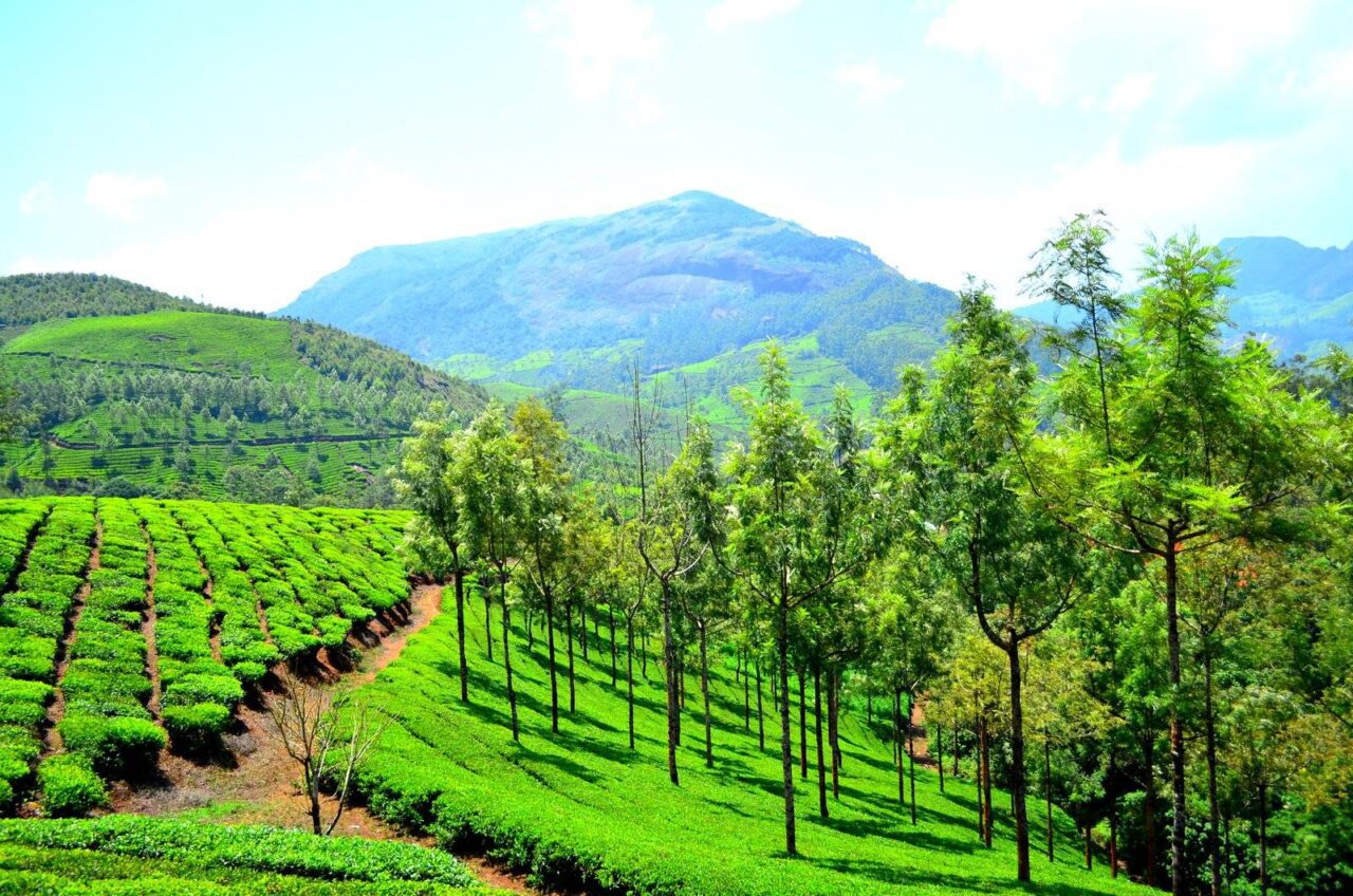 https://travelonica.com/wp-content/uploads/2024/09/Munnar_hill_station_-1280x848.jpg