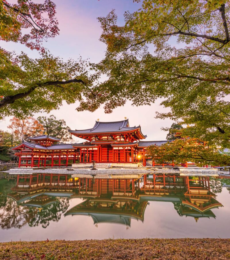 Spring Break 2025 en Tokio - Desde New York